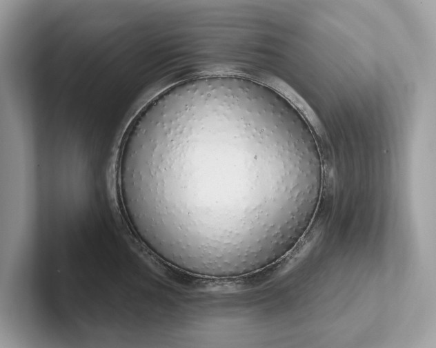 X0000101401002200807211030