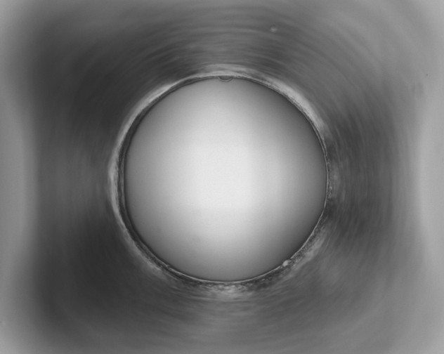 X0000101401003200807211030