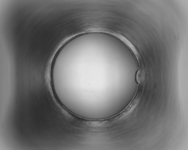 X0000101401005200807211030