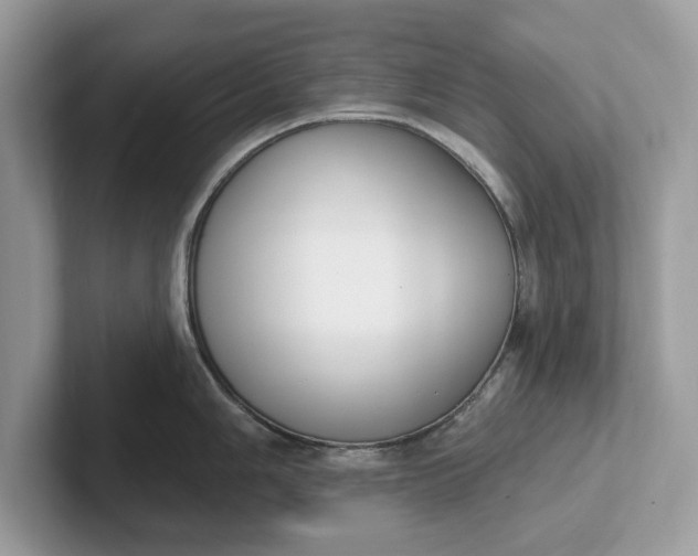 X0000101401006200807211030