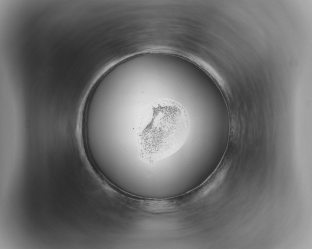 X0000101401007200807211030