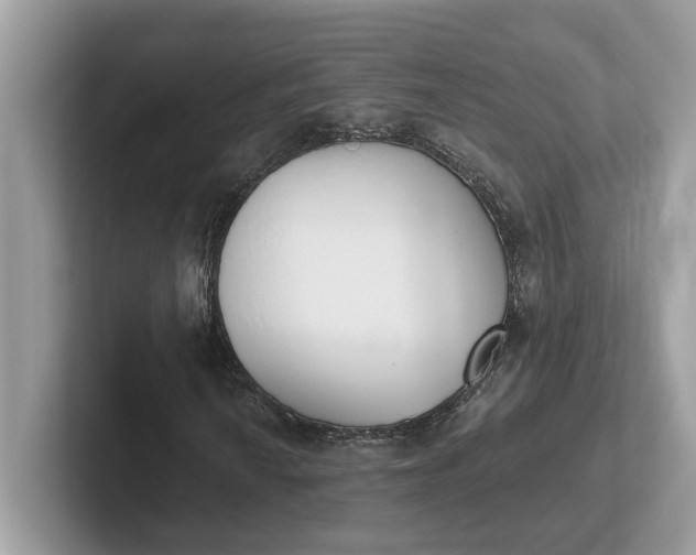 X0000101401010200807211029