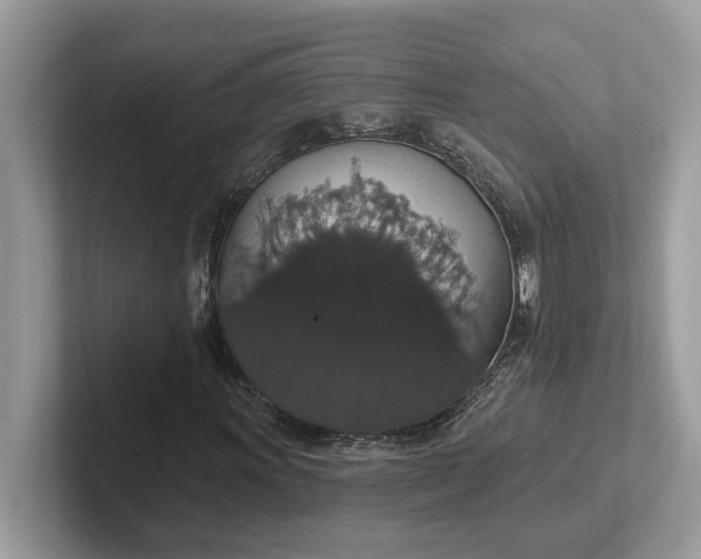 X0000101401011200807211029