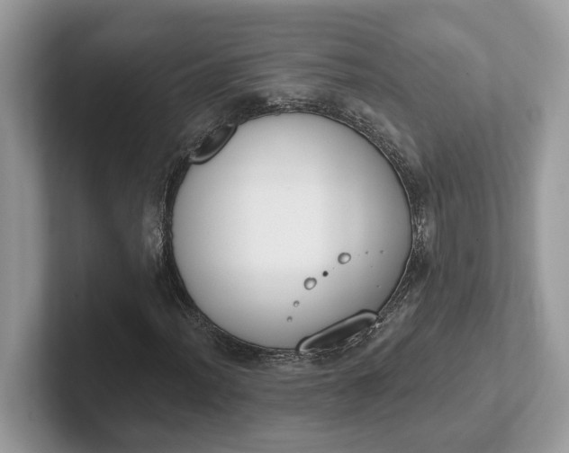 X0000101401012200807211029