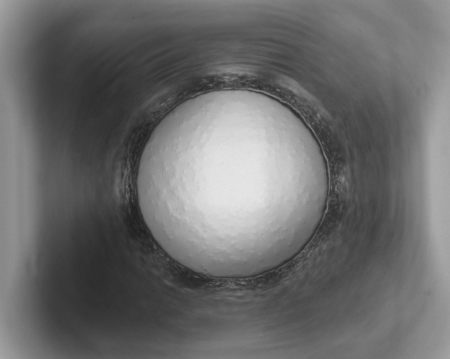 X0000101401014200807211029