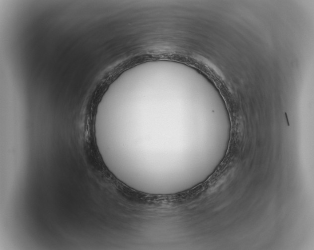 X0000101401016200807211029