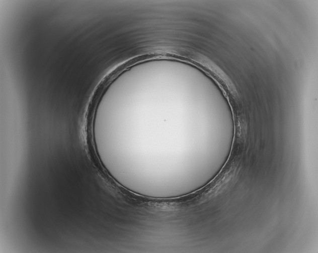 X0000101401020200807211029