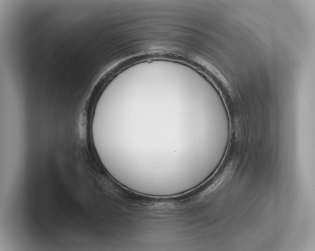 X0000101401021200807211029