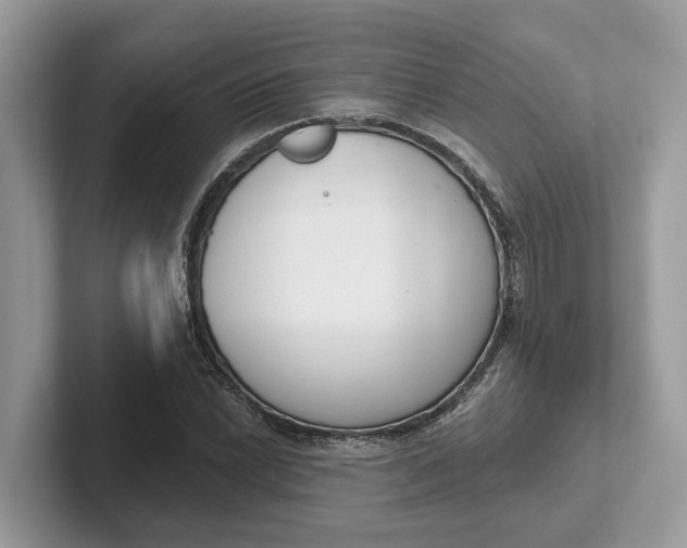 X0000101401022200807211029