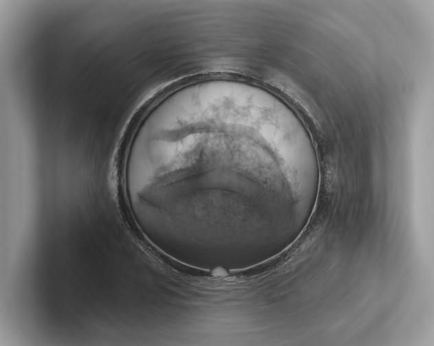 X0000101401024200807211029