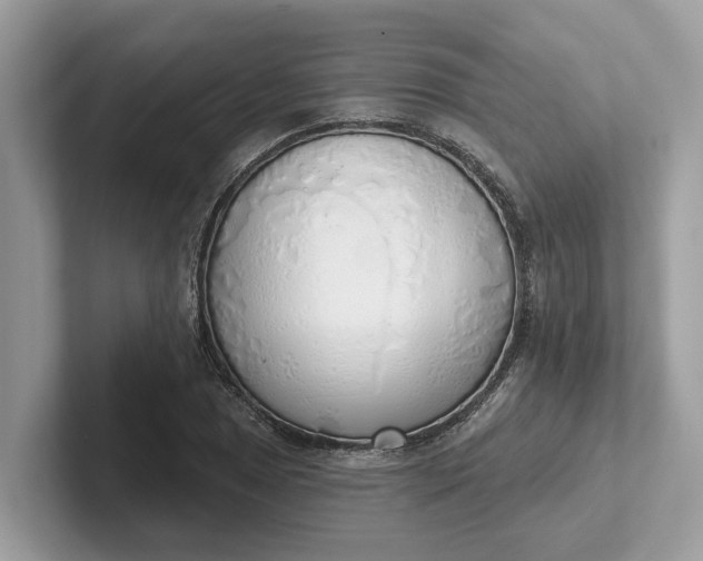 X0000101401025200807211029