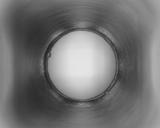 X0000101401026200807211029