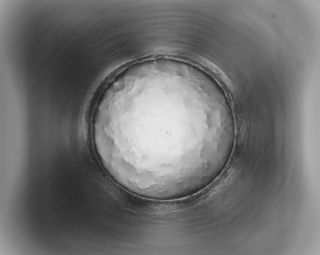 X0000101401027200807211029