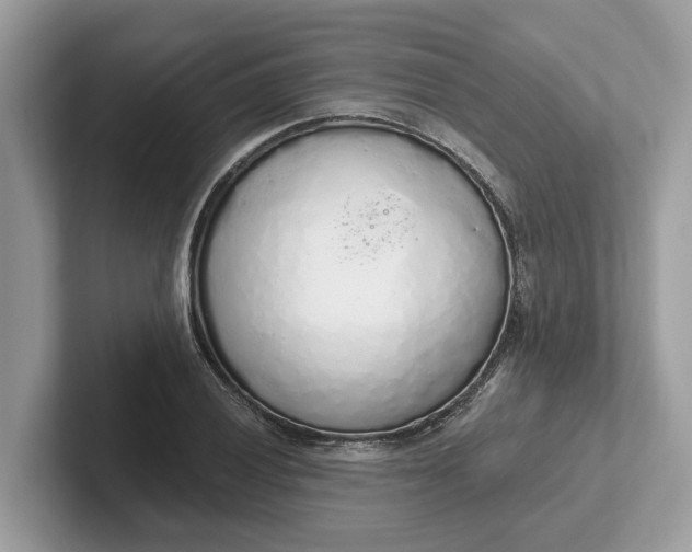 X0000101401028200807211029