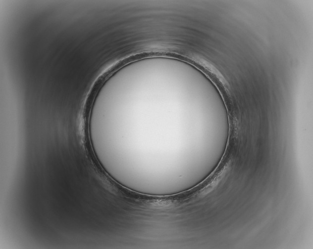 X0000101401029200807211029