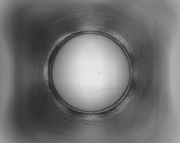 X0000101401030200807211029