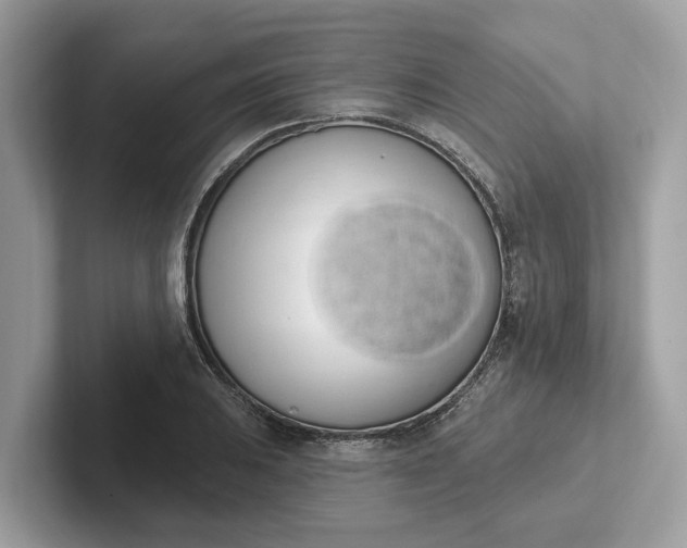 X0000101401031200807211029