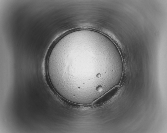 X0000101401032200807211029