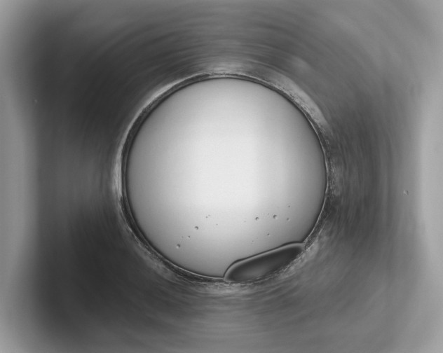 X0000101401036200807211029