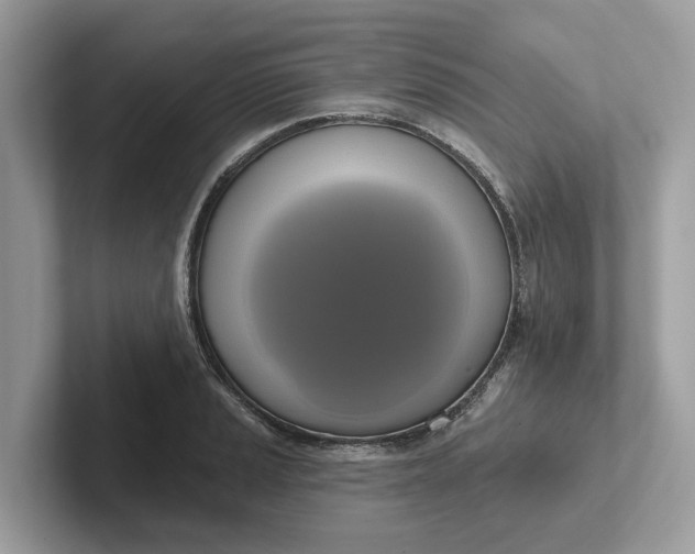 X0000101401037200807211029