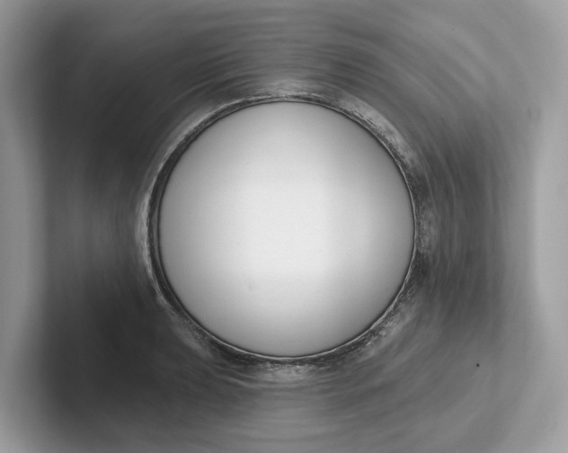 X0000101401039200807211029