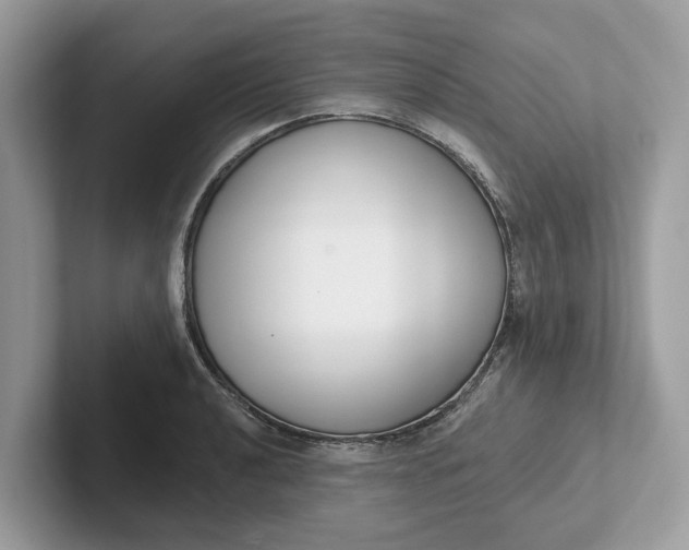 X0000101401040200807211029