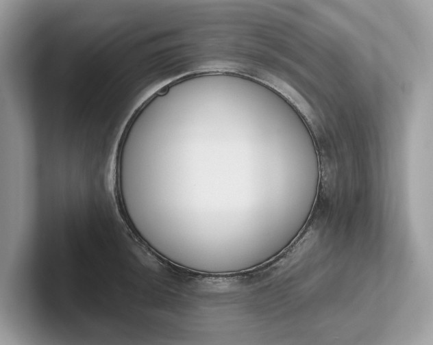 X0000101401044200807211029