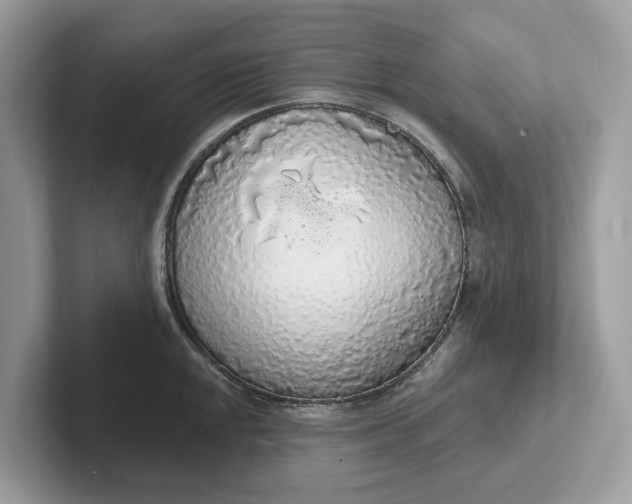 X0000101401048200807211030