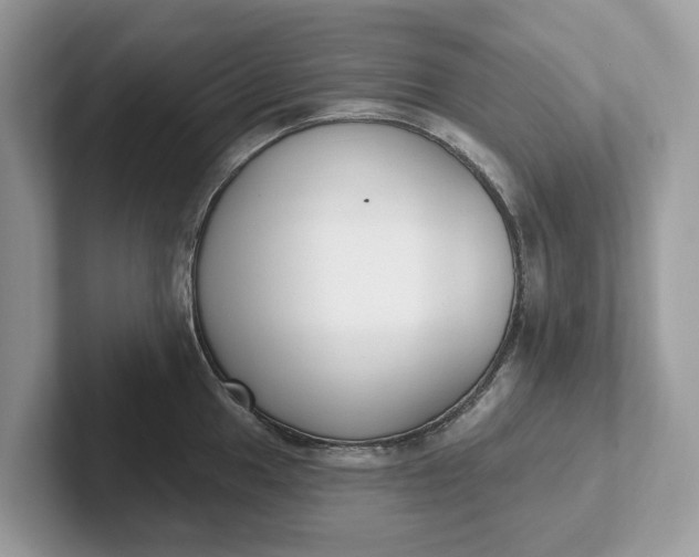 X0000101401049200807211030