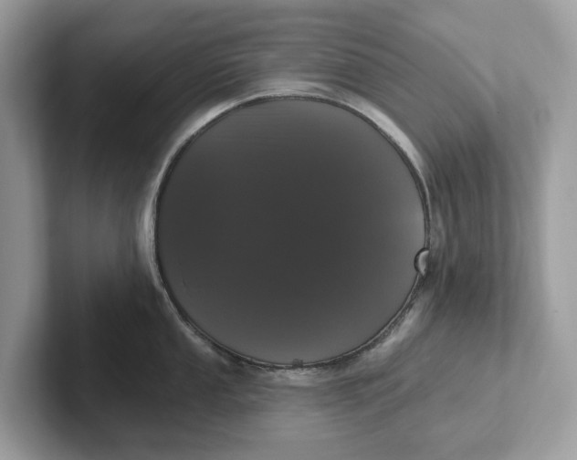 X0000101401053200807211030