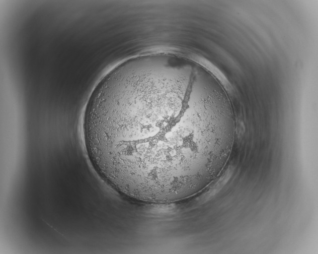 X0000101401055200807211030