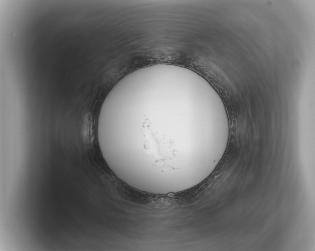 X0000101401058200807211029