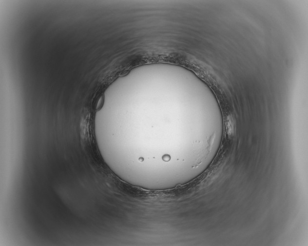 X0000101401059200807211029