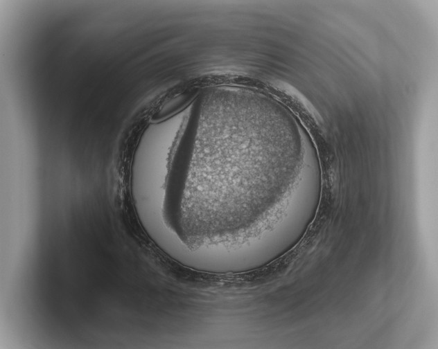 X0000101401064200807211029