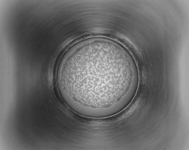 X0000101401065200807211029