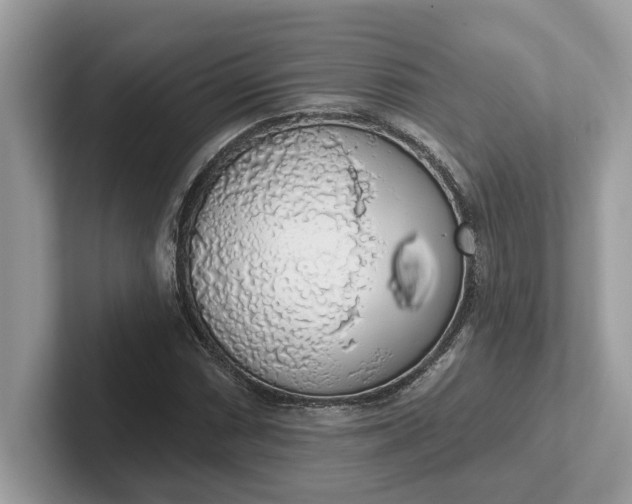 X0000101401066200807211029