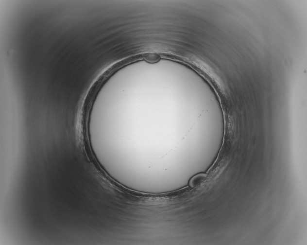 X0000101401068200807211029