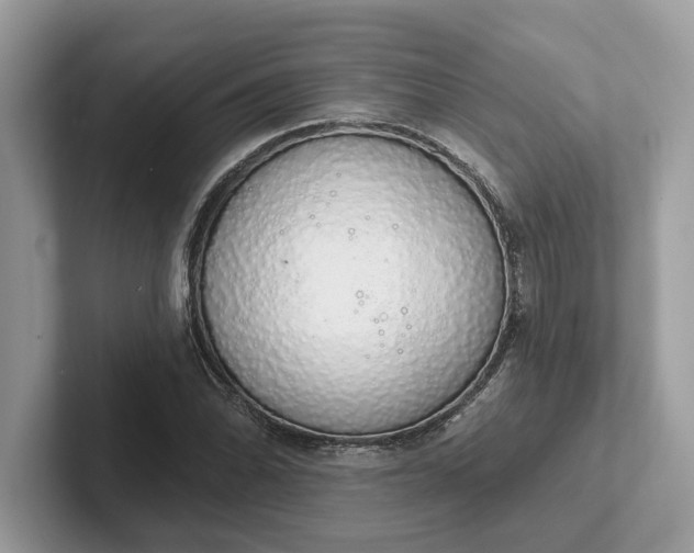 X0000101401070200807211029