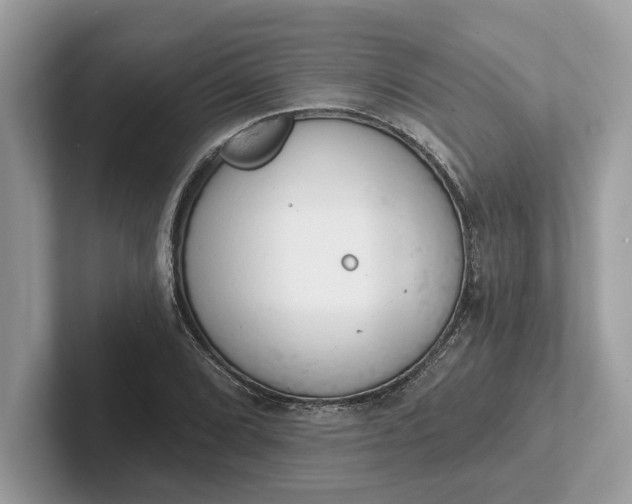 X0000101401072200807211029