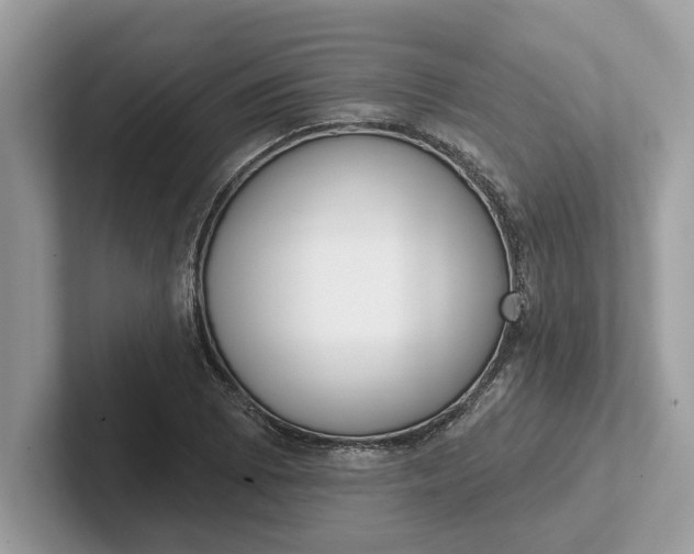 X0000101401073200807211029