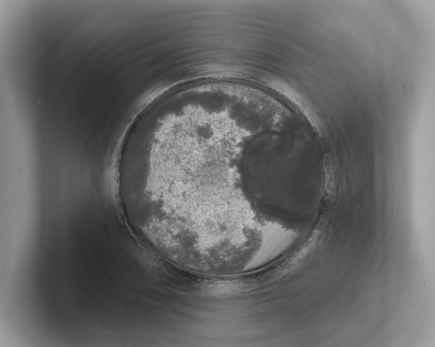 X0000101401074200807211029