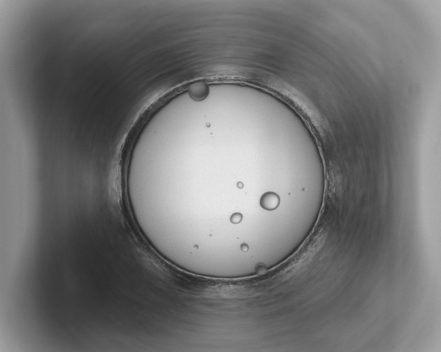 X0000101401075200807211029