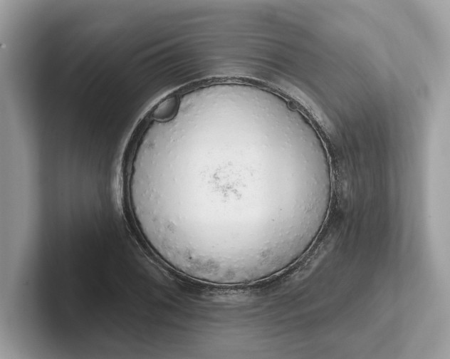 X0000101401076200807211029