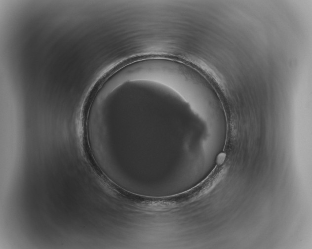 X0000101401077200807211029