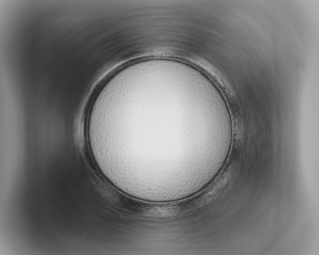 X0000101401078200807211029