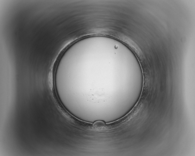 X0000101401079200807211029