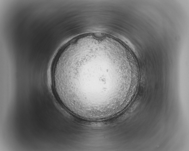 X0000101401080200807211029