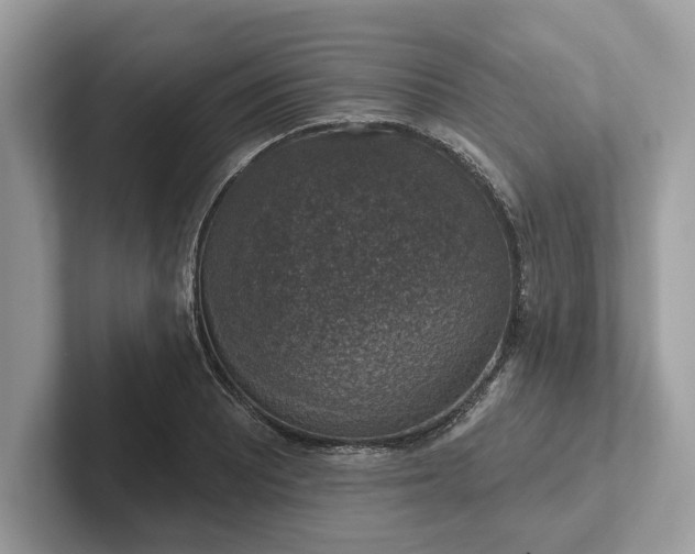 X0000101401081200807211029