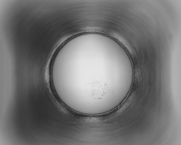 X0000101401082200807211029