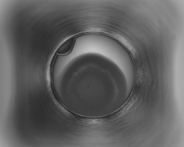 X0000101401084200807211029